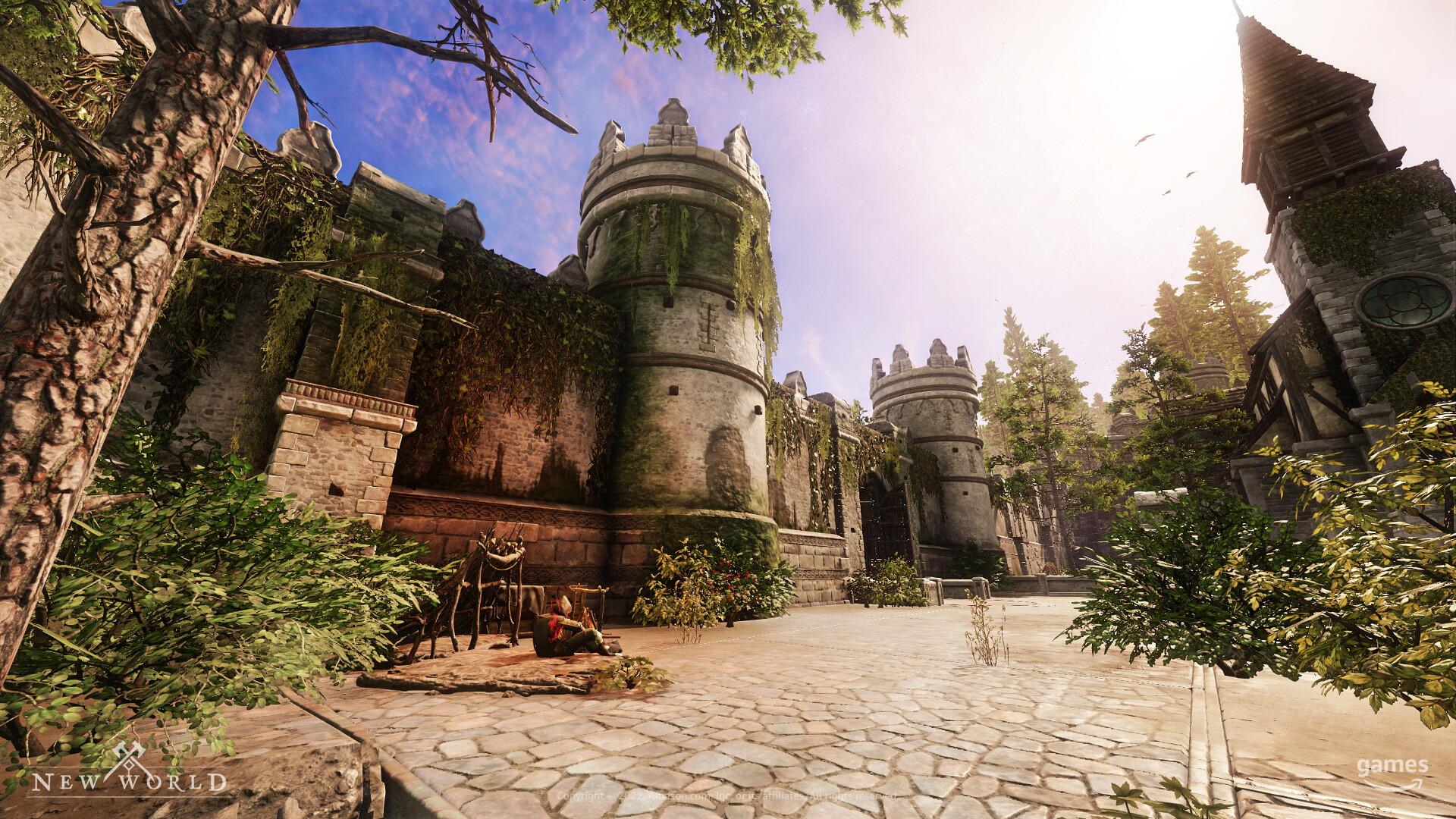New World Guide